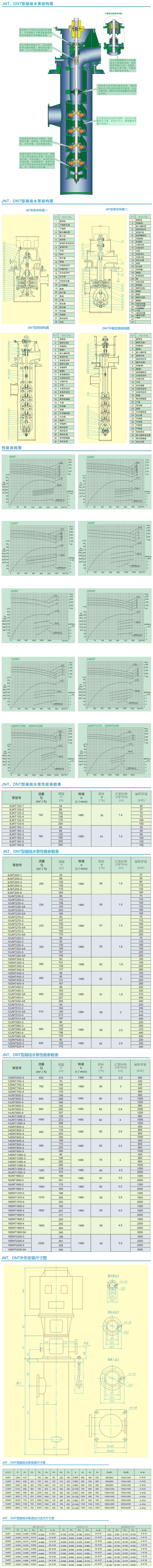 JNT型凝成人深夜直播APP